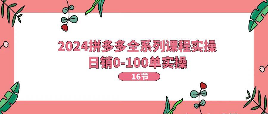 2024拼多多全系列课程实操，日销0-100单实操【16节课】-玖玖资源网