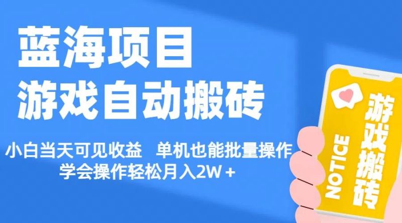 【蓝海项目】游戏自动搬砖 小白当天可见收益 单机也能批量操作 学会操…-玖玖资源网