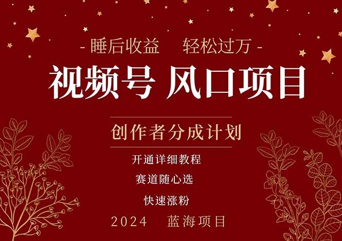 拥有睡眠收益的微信视频号大风口项目，轻松月入过万+，多赛道选择，可…-玖玖资源网
