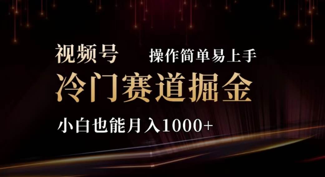 2024视频号冷门赛道掘金，操作简单轻松上手，小白也能月入1000+-玖玖资源网