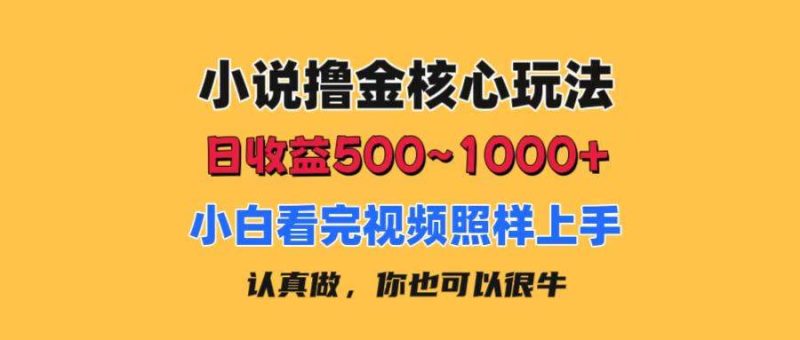 小说撸金核心玩法，日收益500-1000+，小白看完照样上手，0成本有手就行-玖玖资源网