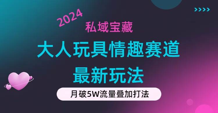 私域宝藏：大人玩具情趣赛道合规新玩法，零投入，私域超高流量成单率高-玖玖资源网