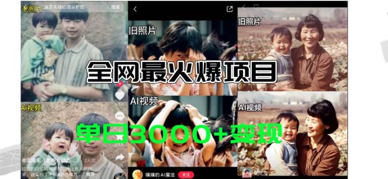 全网爆火的AI让老照片动起来教程，蹭热点日赚3000+，内含免费工具一键…-玖玖资源网