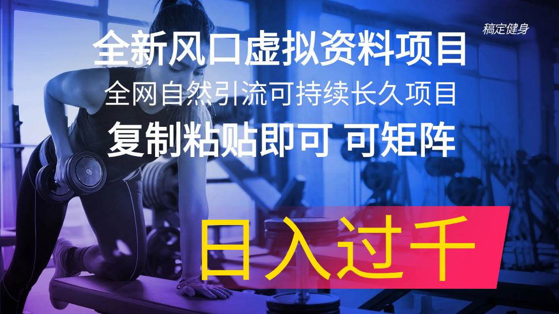 全新风口虚拟资料项目 全网自然引流可持续长久项目 复制粘贴即可可矩阵…-玖玖资源网