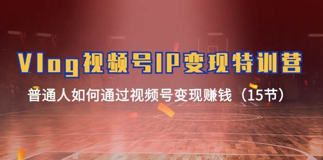 Vlog 视频号IP变现特训营，普通人如何通过视频号变现赚钱（15节）-玖玖资源网