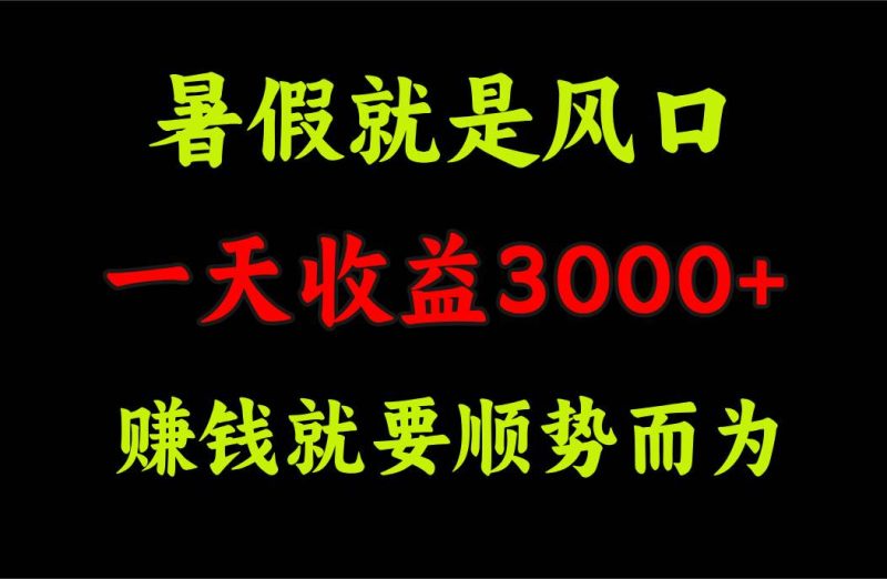 一天收益3000+ 赚钱就是顺势而为，暑假就是风口-玖玖资源网