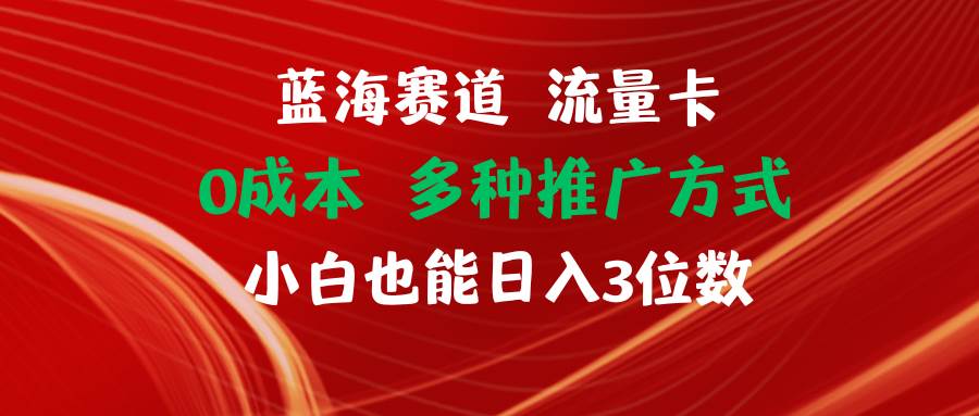蓝海赛道 流量卡 0成本 小白也能日入三位数-玖玖资源网