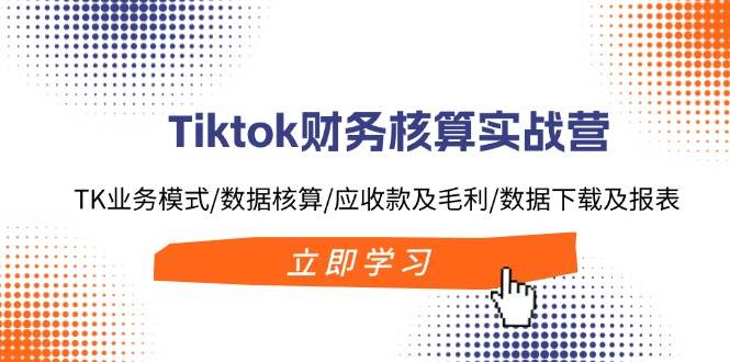 Tiktok财务核算实战营：TK业务模式/数据核算/应收款及毛利/数据下载及报表-玖玖资源网