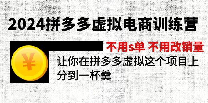 2024拼多多虚拟电商训练营 不s单 不改销量  做虚拟项目分一杯羹(更新10节)-玖玖资源网
