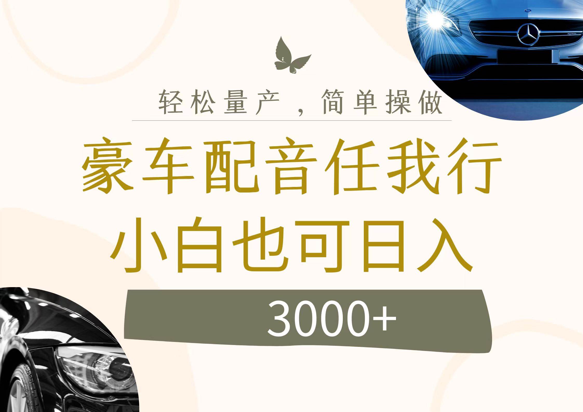 不为人知的暴力小项目，豪车配音，日入3000+-玖玖资源网