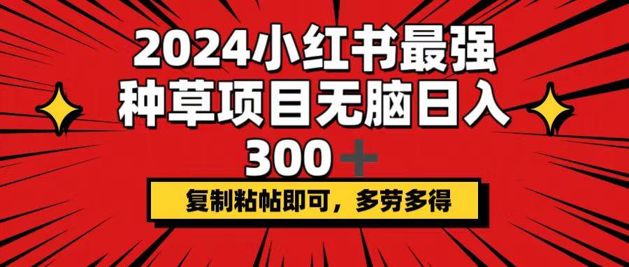 2024小红书最强种草项目，无脑日入300+，复制粘帖即可，多劳多得-玖玖资源网