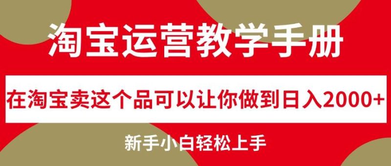 淘宝运营教学手册，在淘宝卖这个品可以让你做到日入2000+，新手小白轻…-玖玖资源网
