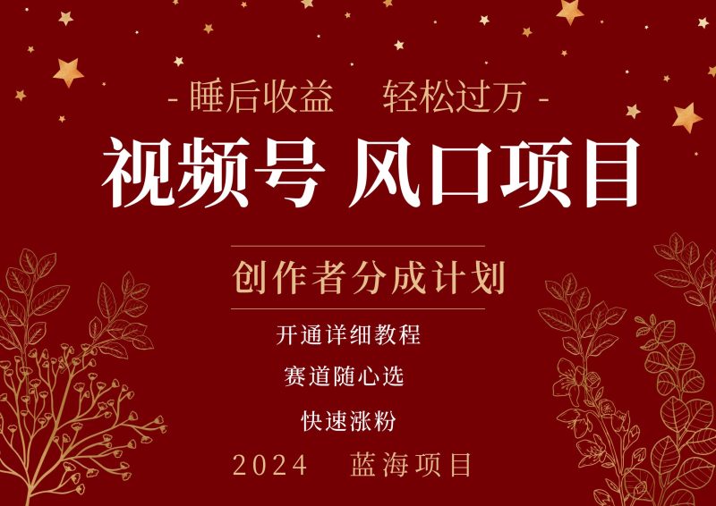 拥有睡眠收益的微信视频号大风口项目，轻松月入过万+，多赛道选择，可矩阵，玩法简单轻松上手-玖玖资源网