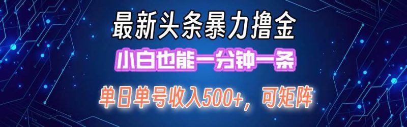 最新暴力头条掘金日入500+，矩阵操作日入2000+ ，小白也能轻松上手！-玖玖资源网
