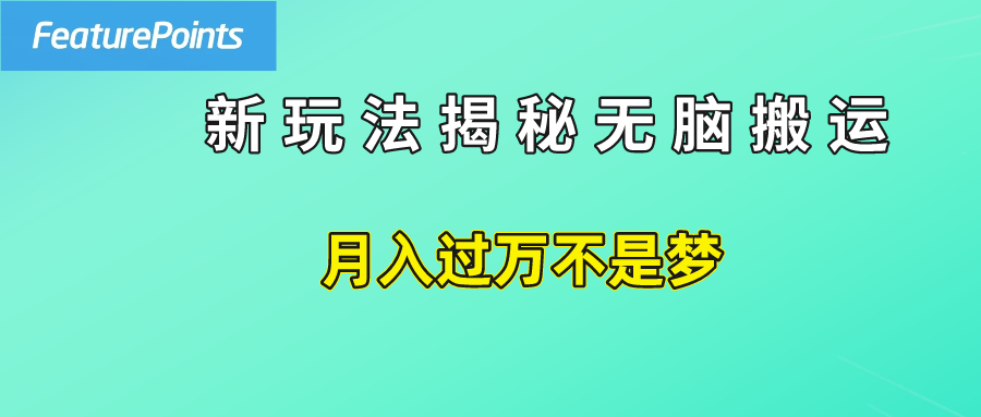 简单操作，每天50美元收入，搬运就是赚钱的秘诀！-玖玖资源网