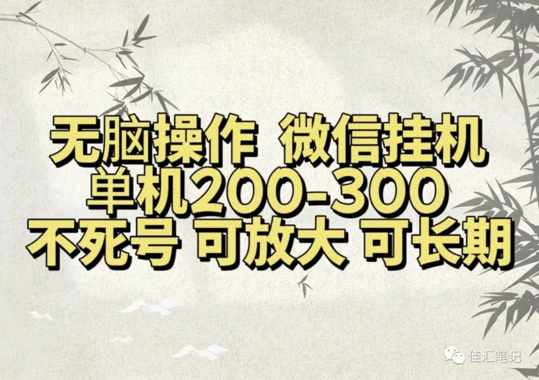 无脑操作微信视频号挂机单机200-300一天，不死号，可放大，工作室实测-玖玖资源网