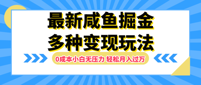 最新咸鱼掘金玩法，更新玩法，0成本小白无压力，多种变现轻松月入过万-玖玖资源网