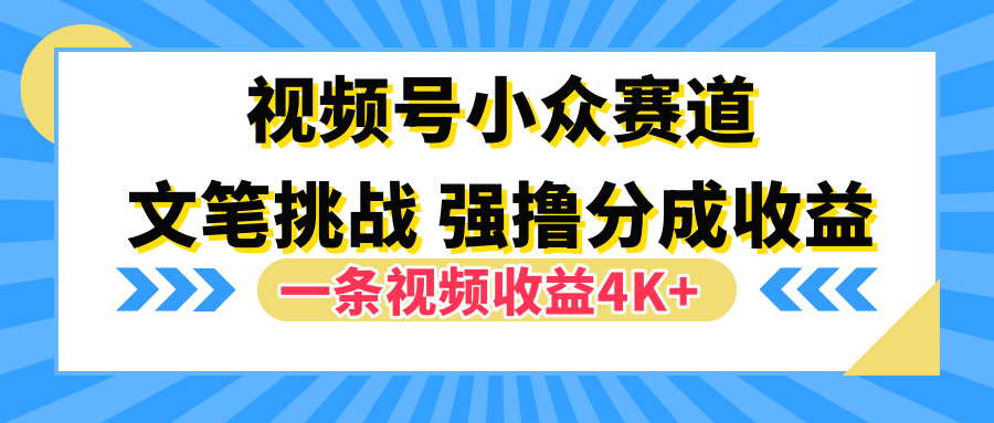 视频号小众赛道，文笔挑战，一条视频收益4K+-玖玖资源网