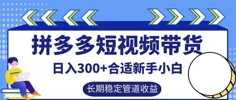 拼多多短视频带货日入300+实操落地流程-玖玖资源网
