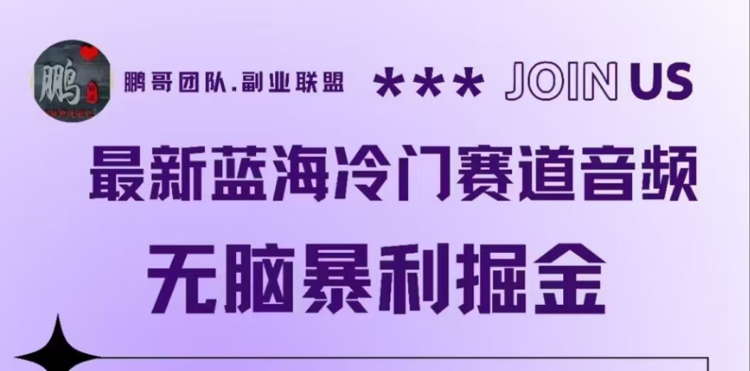 最新蓝海冷门赛道音频，无脑暴利掘金-玖玖资源网