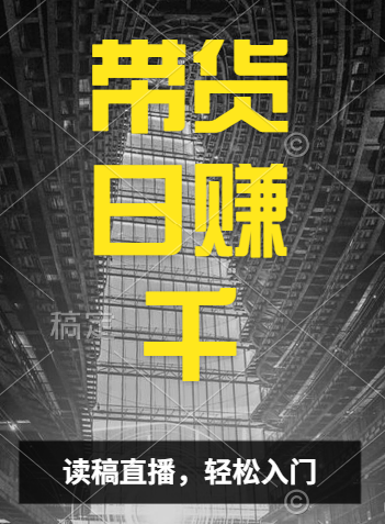 视频号技术直播带货， 会读稿就行，小白日入1000+-玖玖资源网