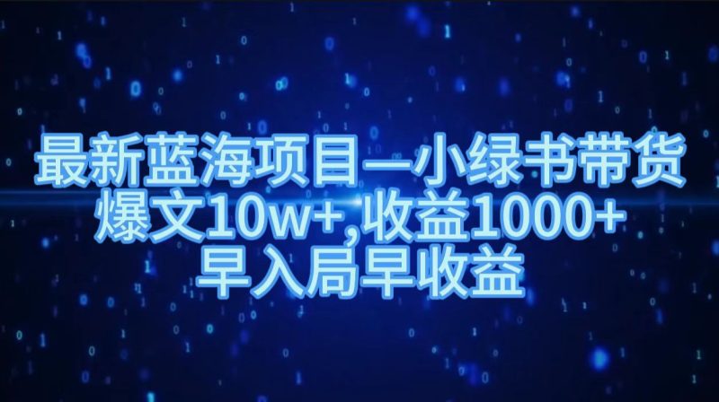 最新蓝海项目小绿书带货，爆文10w＋，收益1000＋，早入局早获益！！-玖玖资源网