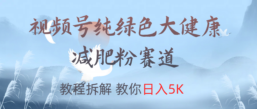 视频号纯绿色大健康粉赛道，教程拆解，教你日入5K-玖玖资源网
