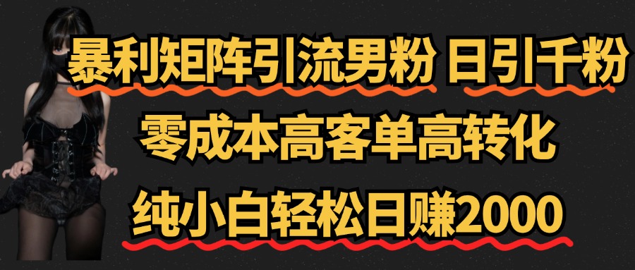 暴利矩阵引流男粉（日引千粉），零成本高客单高转化，纯小白轻松日赚2000+-玖玖资源网