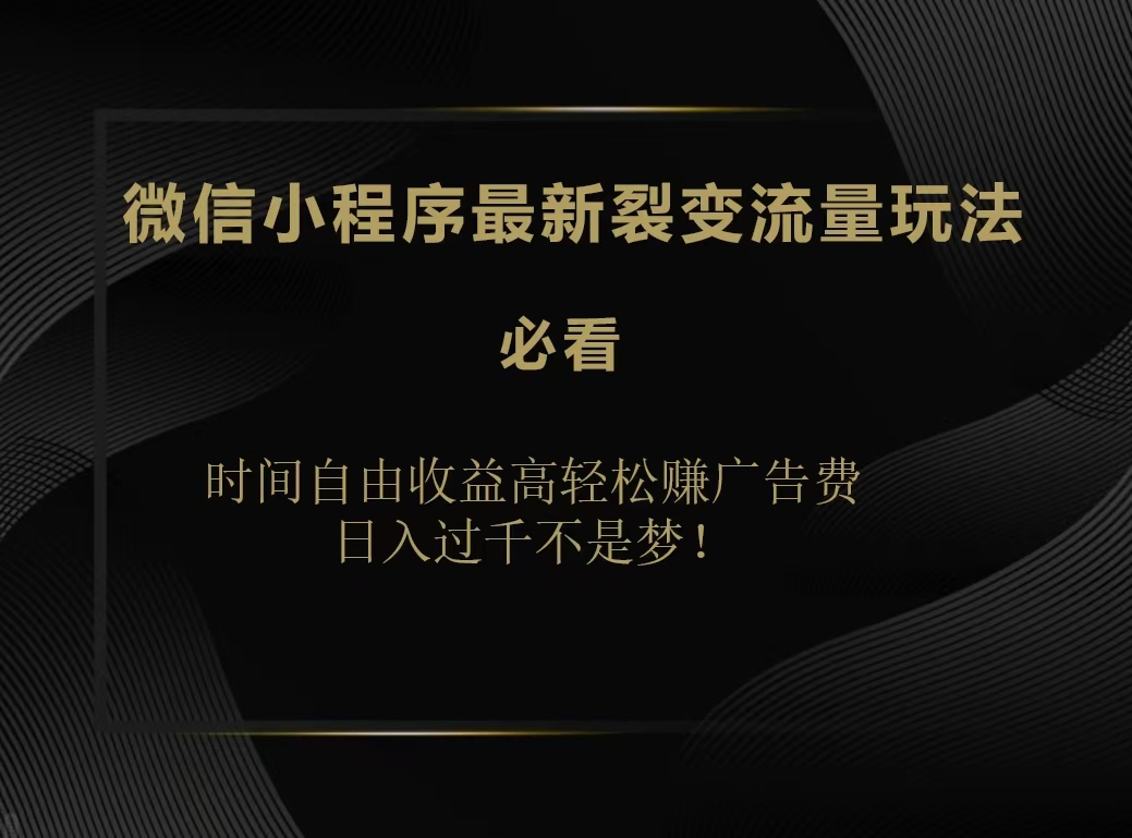 微信小程序最新裂变流量玩法，时间自由收益高轻松赚广告费，日入200-500+-玖玖资源网