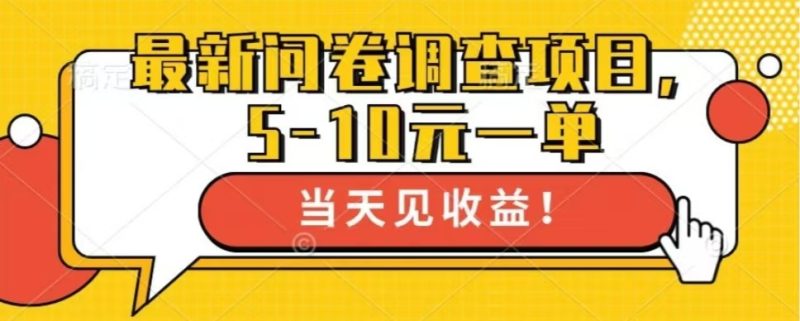 最新问卷调查项目，共12个平台，单日零撸100＋-玖玖资源网