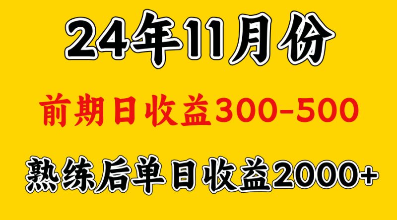轻资产项目，前期日收益500左右，后期日收益1500-2000左右，多劳多得-玖玖资源网
