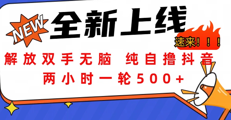 解放双手无脑 纯自撸抖音 两小时一轮500+-玖玖资源网