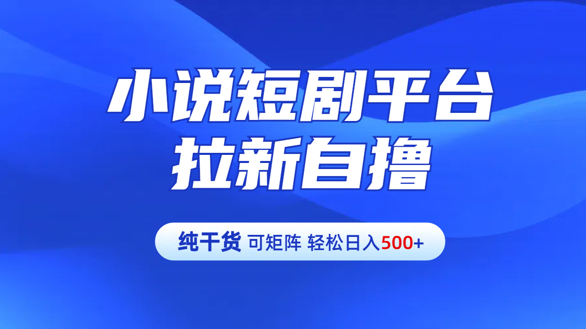 【纯干货】小说短剧平台拉新自撸玩法详解-单人轻松日入500+-玖玖资源网