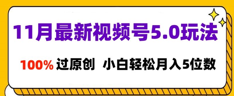 11月最新视频号5.0玩法，100%过原创，小白轻松月入5位数-玖玖资源网