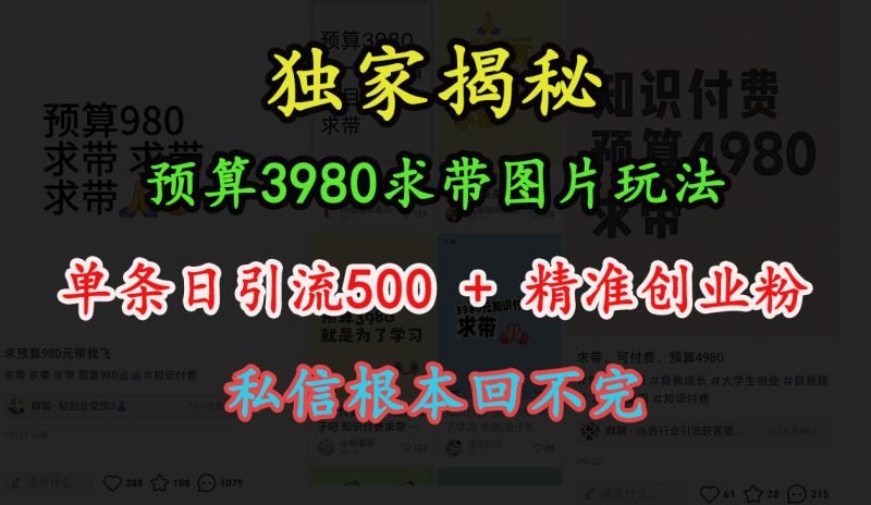 “小红书”预算3980求带 图片玩法，单条日引流500+精准创业粉，私信根本回不完-玖玖资源网