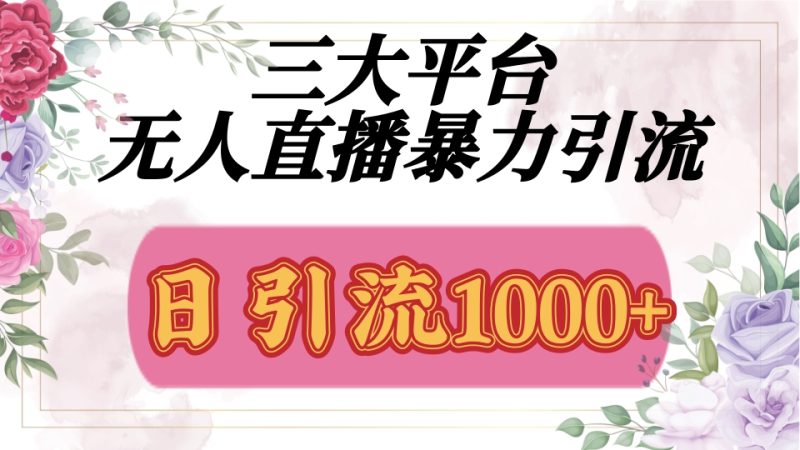 抖音，快手，视频号全平台通用，无人直播引流法，利用图片,模板,整套话术挂机全天支持矩阵操作，无限设备多开，超暴力引流，1000+高质量精准创业粉-玖玖资源网