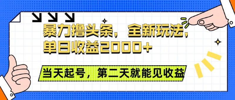 暴力撸头条全新玩法，单日收益2000+，小白也能无脑操作，当天起号，第二天见收益-玖玖资源网