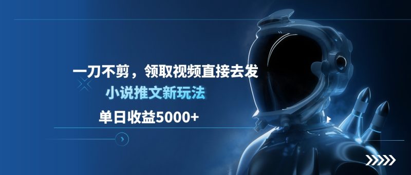 单日收益5000+，小说推文新玩法，一刀不剪，领取视频直接去发-玖玖资源网