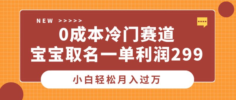 0成本冷门赛道，宝宝取名一单利润299，小白轻松月入过万-玖玖资源网