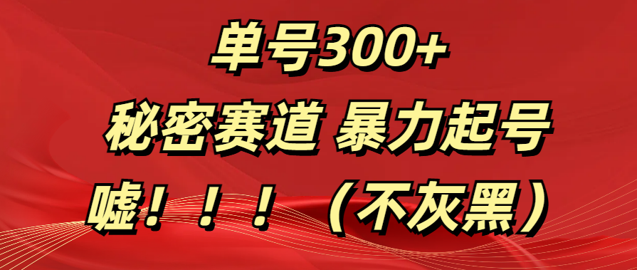 单号300+  秘密赛道 暴力起号  （不灰黑）-玖玖资源网