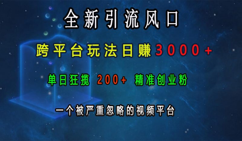 全新引流风口，跨平台玩法日赚3000+，单日狂揽200+精准创业粉，一个被严重忽略的视频平台-玖玖资源网
