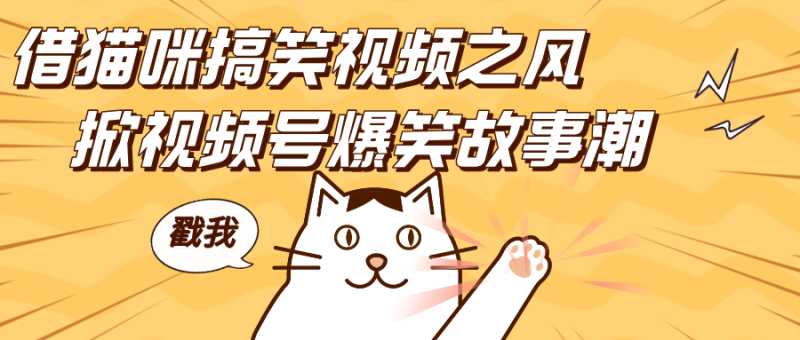 借猫咪搞笑视频之风,掀视频号爆笑故事潮,轻松日赚四位数,开启无门槛赚钱新体验!-玖玖资源网