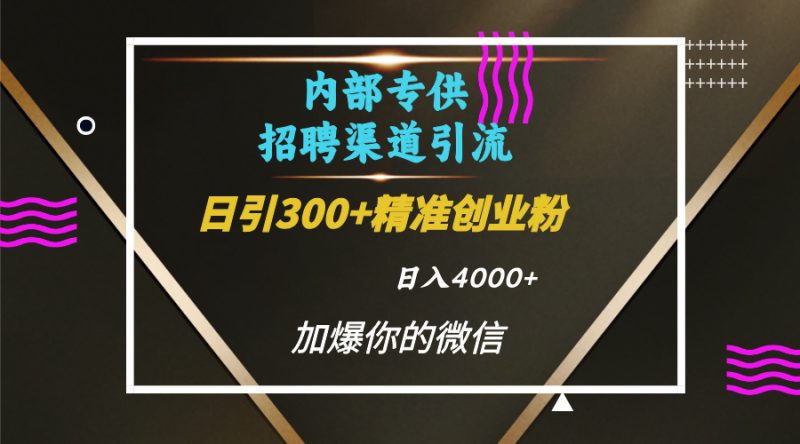 内部招聘引流技术，很实用的引流方法，流量巨大小白轻松上手日引300+精准创业粉，单日可变现4000+-玖玖资源网