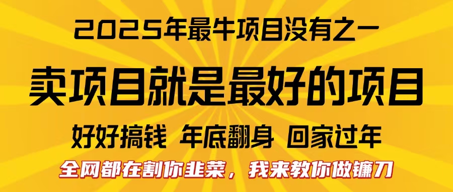 全网都在割你韭菜，我来教你做镰刀。卖项目就是最好的项目，2025年最牛互联网项目-玖玖资源网