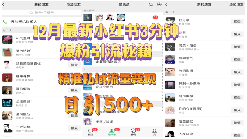 12月最新小红书3分钟爆粉引流秘籍，精准私域流量变现 日引500+-玖玖资源网