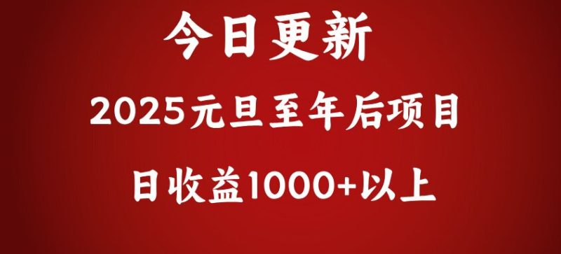 翻身项目，日收益1000+以上-玖玖资源网