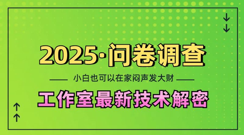 2025《问卷调查》最新工作室技术解密：一个人在家也可以闷声发大财，小白一天200+，可矩阵放大-玖玖资源网
