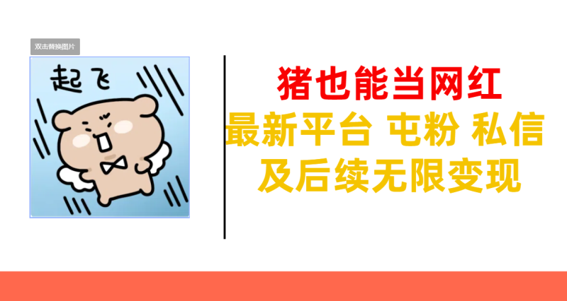 猪也能当网红-最新平台 屯粉 交流 私信 及后续无限变现-玖玖资源网