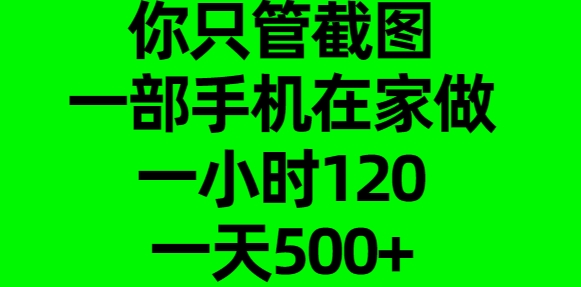 你只管截图，一部手机在家做，一小时120，一天500+-玖玖资源网