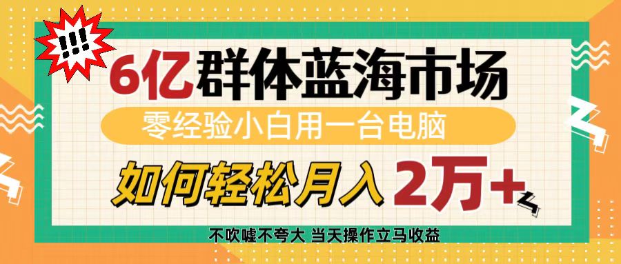 6亿群体蓝海市场，零经验小白用一台电脑，如何轻松月入2万+-玖玖资源网